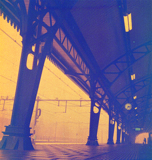 20101231web