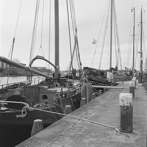 2403makkum0803