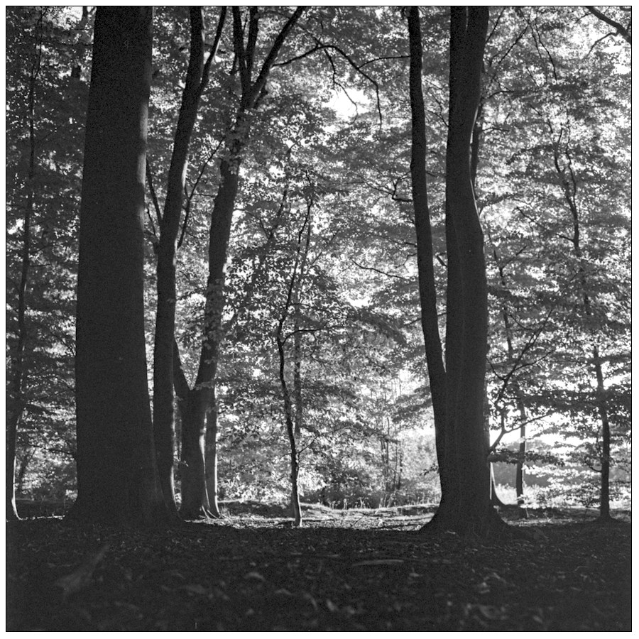 3_5F_0170