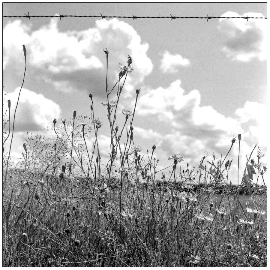 3_5F_0177