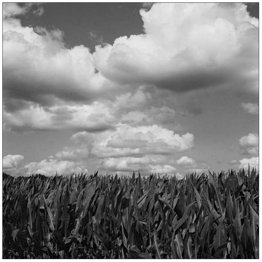 3_5F_0178