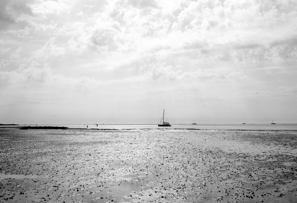 Acros11