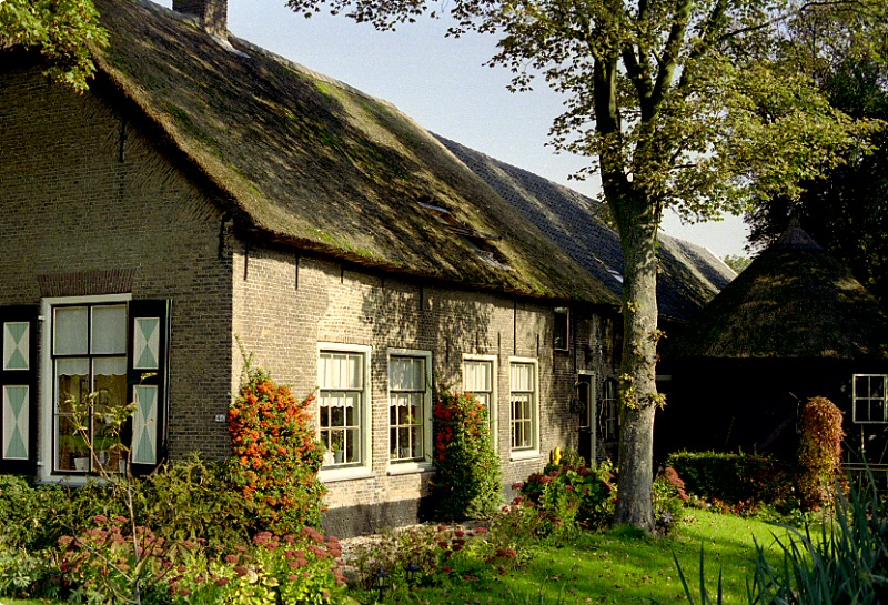 Afbeelding16
