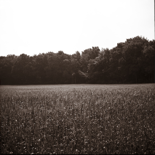 Catcher_in_the_Rye-1