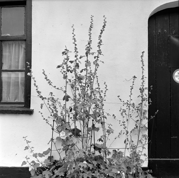 Doesburg5