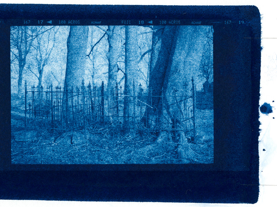 Kerkhof-Cyanotype-No2