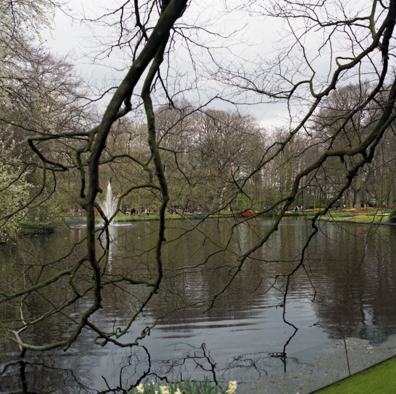 Keukenhof_19-04-97_Rolleiflex_6008_Integral_20_