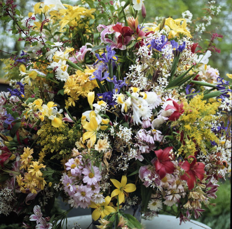 Keukenhof_19-04-97_Rolleiflex_6008_Integral_9_