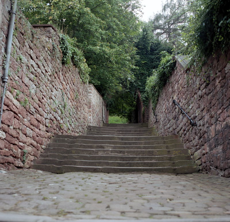 Landgrafenschloss_Marburger_Museum