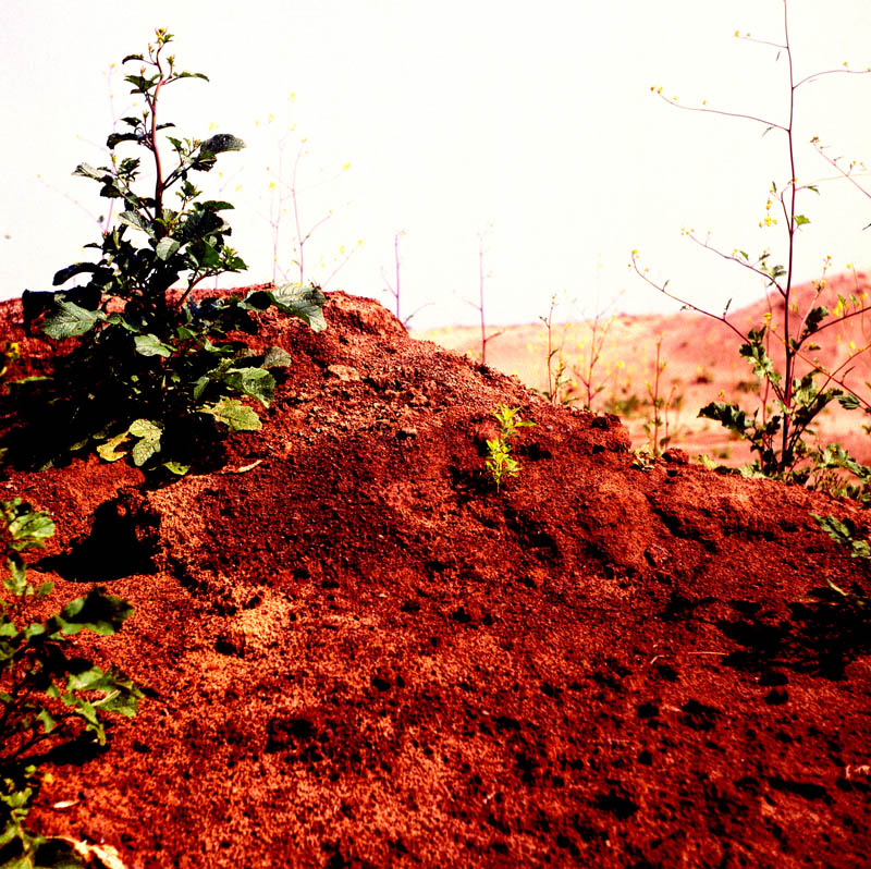 RCIII-04klein
