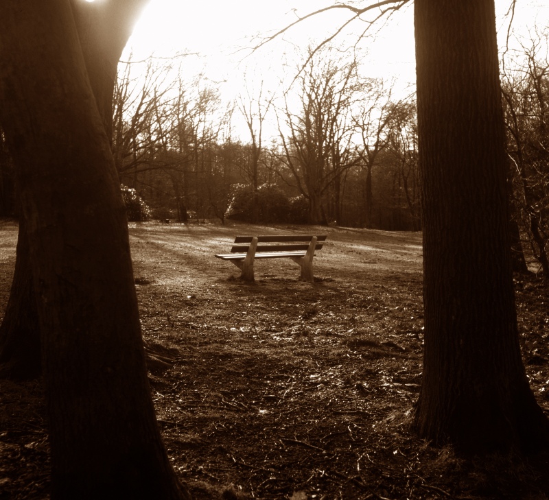 RIV-11sepia