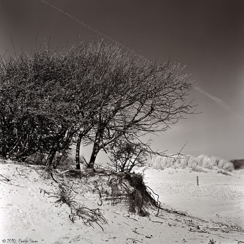 Untitled-005
