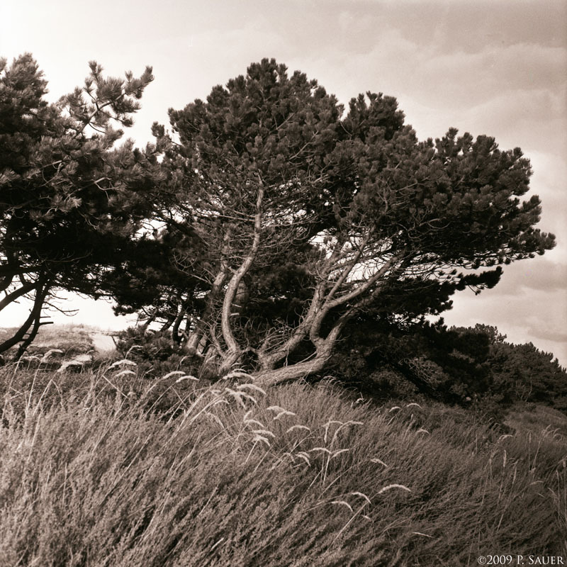 Untitled-25