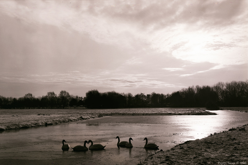 Untitled-53