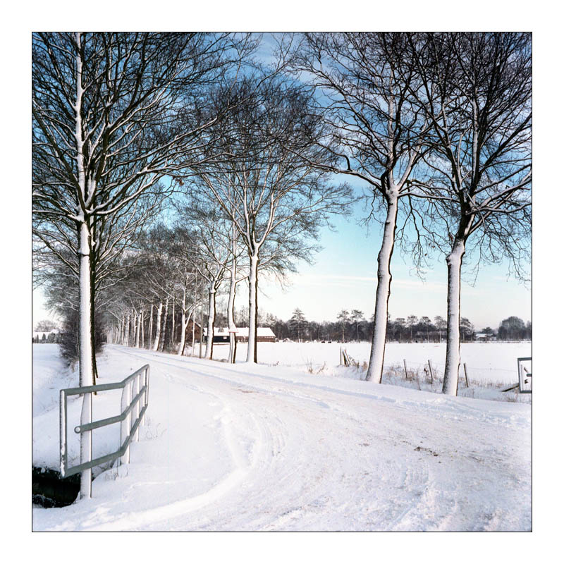 coelhorst-12