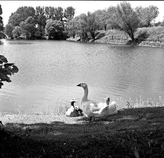 img20250420_11413901