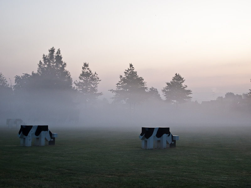 nevel_in_de_polder3