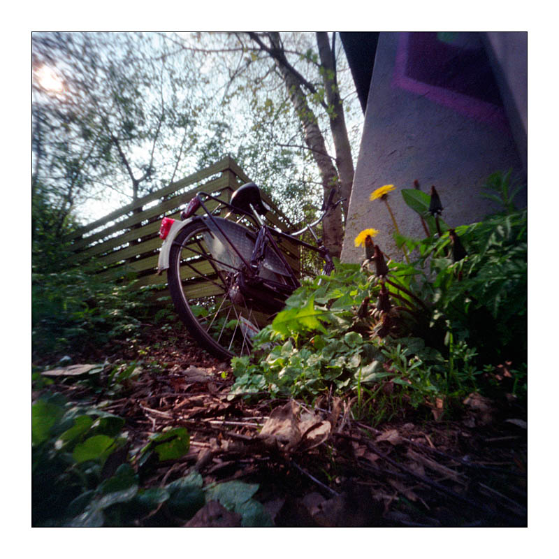 pinhole-17