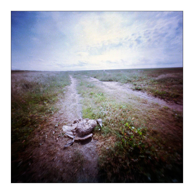 pinhole-vlieland-09