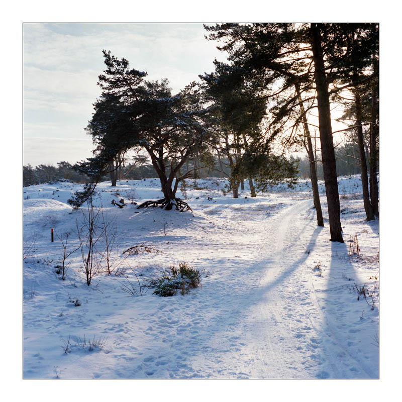 soestduinen-02