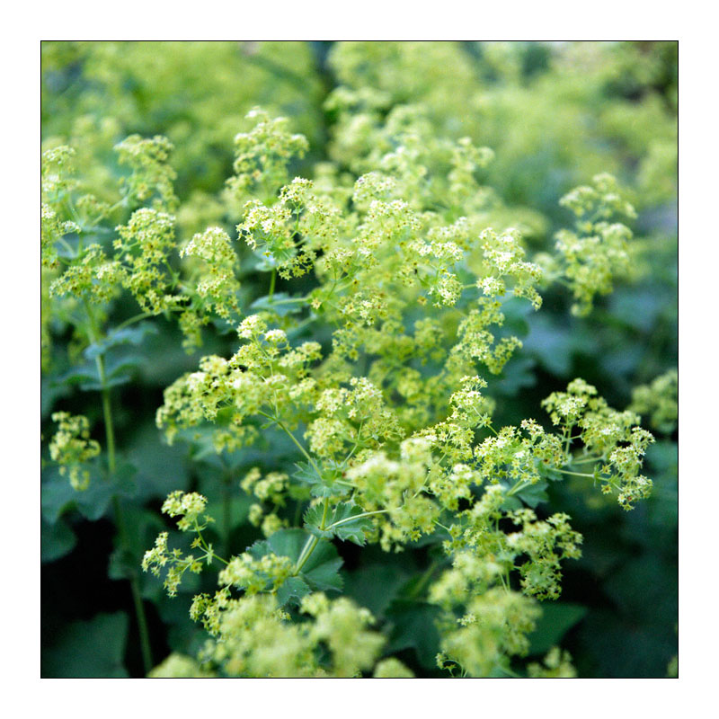 test_voorzetlensjes-01