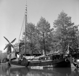 Boot_en_Molen.jpg