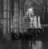 IMG_7750s.jpg