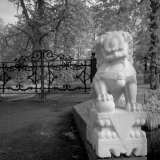 IR-film-No007-LQ.jpg