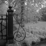 IR-film-No008-LQ.jpg