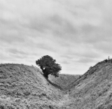 Old_Sarum_revisited_1_van_1_.jpg