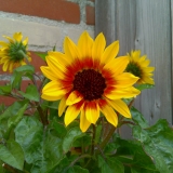 PICT0019.jpg