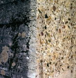 RIIIc-07.jpg