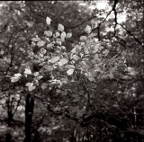 Rollei-Uitje-No06.jpg