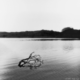 Untitled-0001.jpg