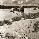 Untitled-a.jpg