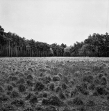 landschap_11.jpg