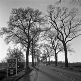 neg_Rollei_3_5F_041-1.jpg