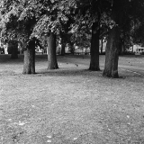 neg_Rollei_3_5F_125-1.jpg