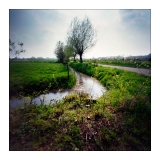 pinhole-19.jpg