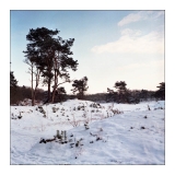 soestduinen-03.jpg